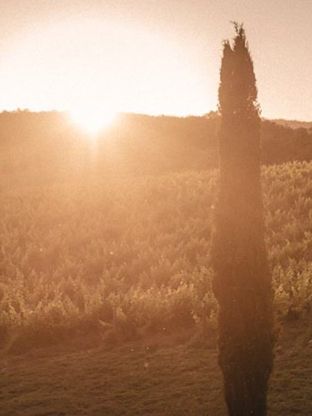 Joel Skingle luxury destination wedding photography in tuscany italy elopment editorial wedding